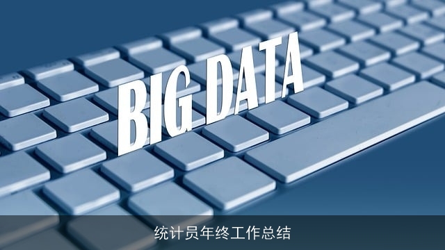 统计员年终工作总结