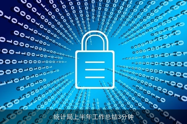 统计局上半年工作总结3分钟