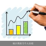 统计局实习个人总结