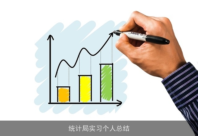 统计局实习个人总结
