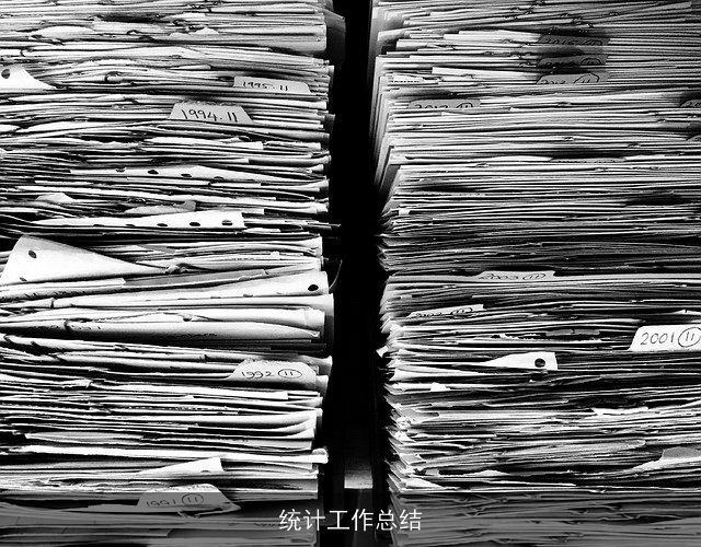 统计工作总结