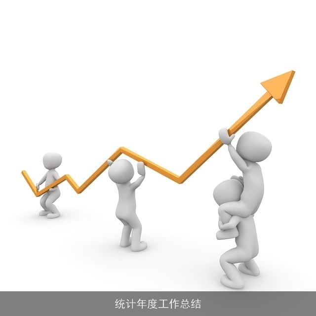 统计年度工作总结