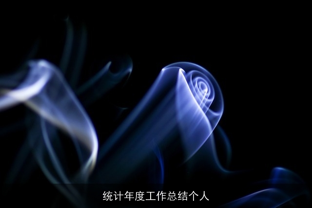 统计年度工作总结个人