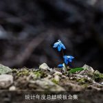 统计年度总结模板合集