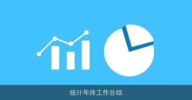 统计年终工作总结