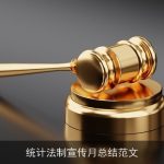 统计法制宣传月总结范文