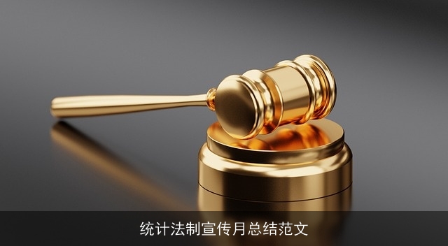 统计法制宣传月总结范文
