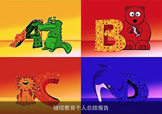 继续教育个人总结报告