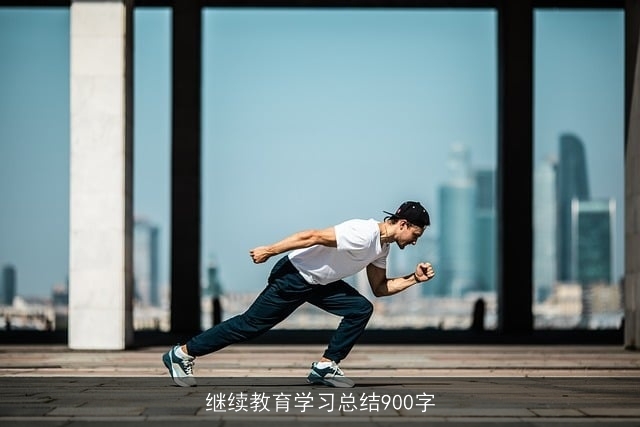 继续教育学习总结900字