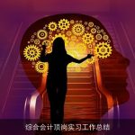 综合会计顶岗实习工作总结