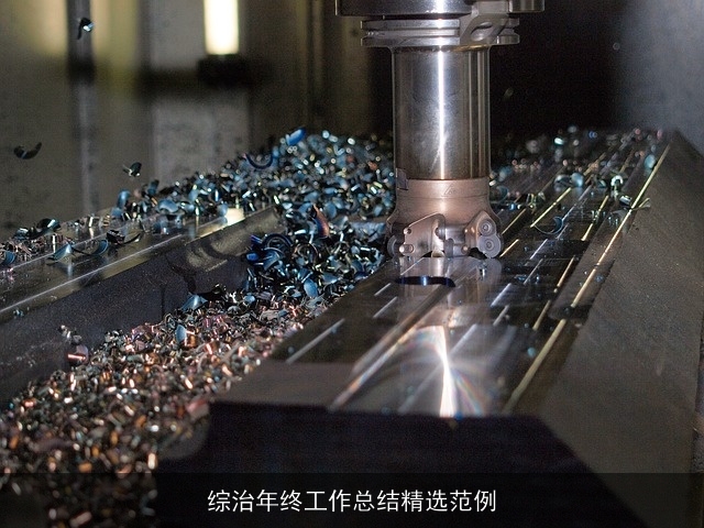 综治年终工作总结精选范例