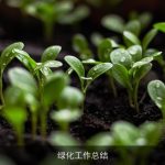 绿化工作总结