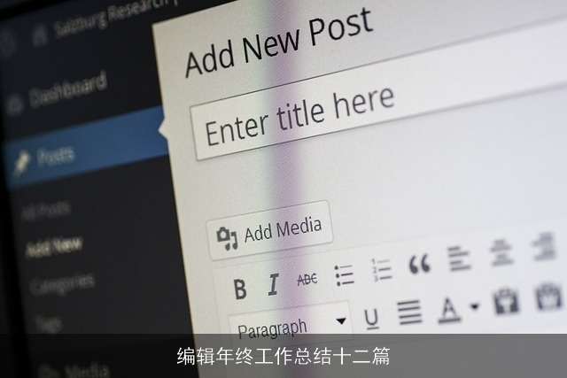 编辑年终工作总结十二篇