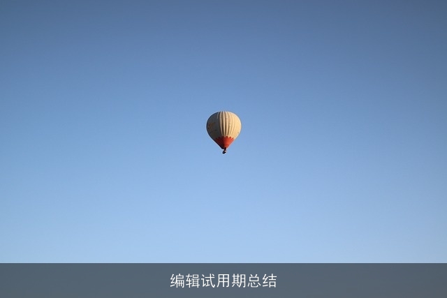 编辑试用期总结