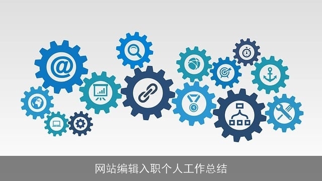 网站编辑入职个人工作总结
