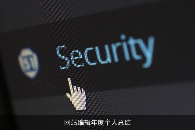网站编辑年度个人总结