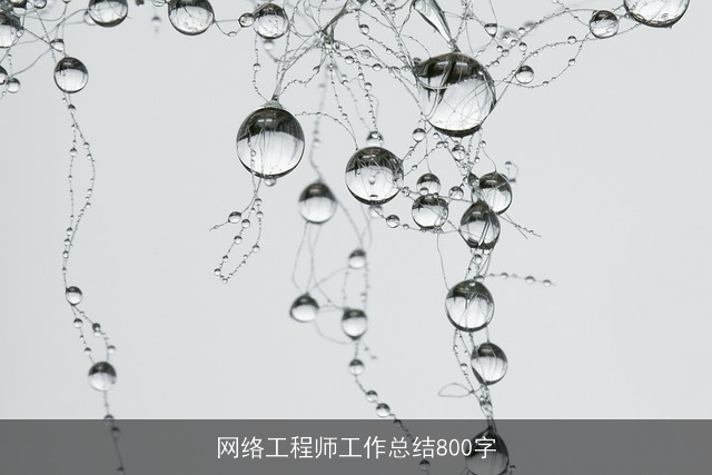 网络工程师工作总结800字