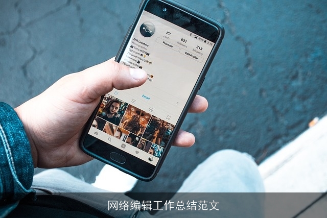 网络编辑工作总结范文