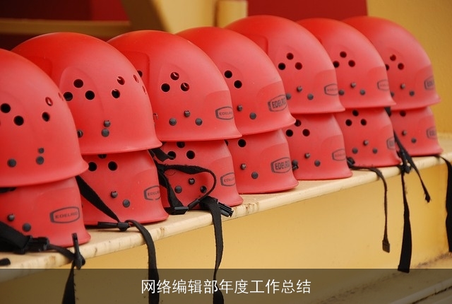 网络编辑部年度工作总结