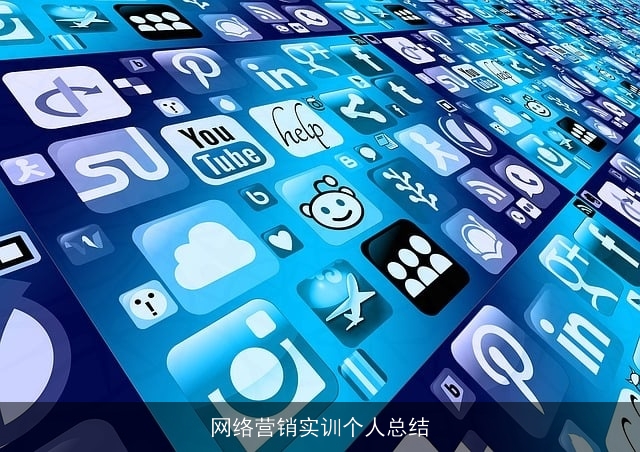 网络营销实训个人总结