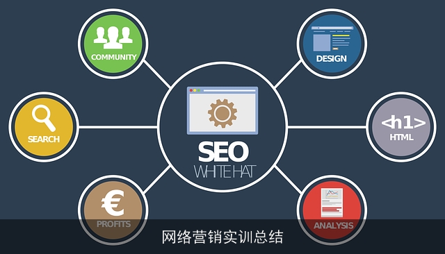 网络营销实训总结