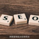 网络营销实训总结范文