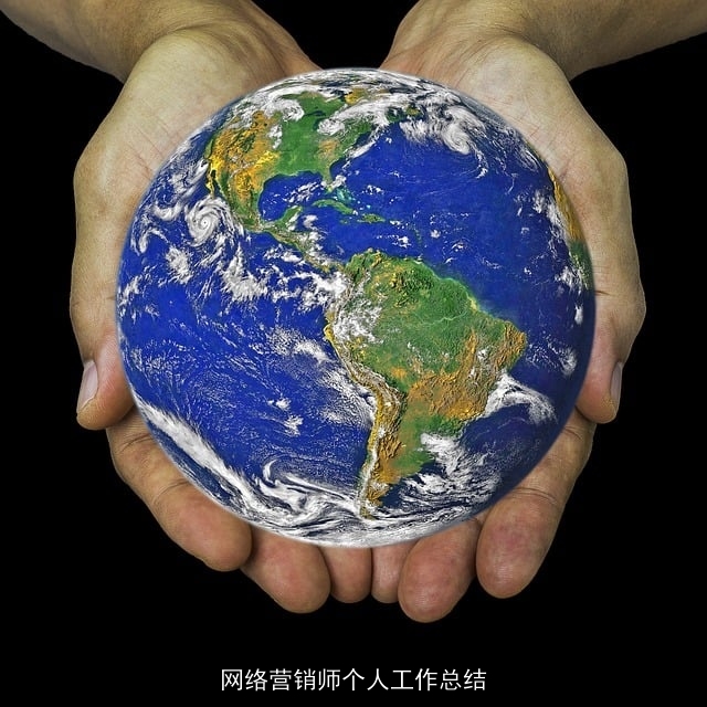 网络营销师个人工作总结