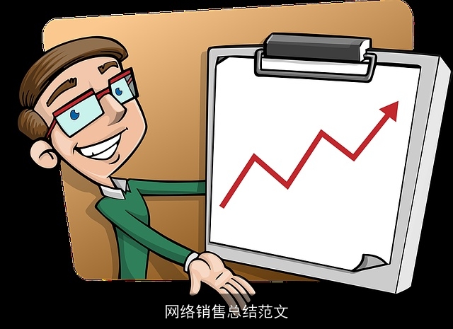网络销售总结范文