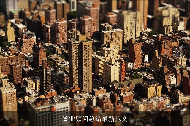 置业顾问总结最新范文