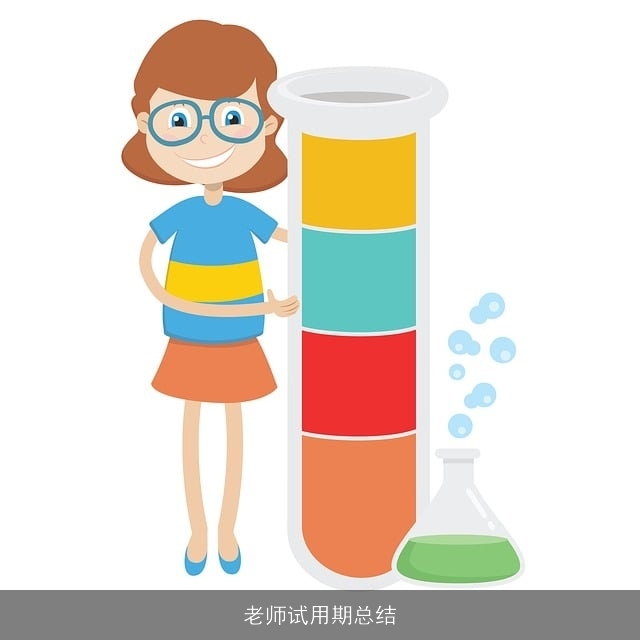 老师试用期总结