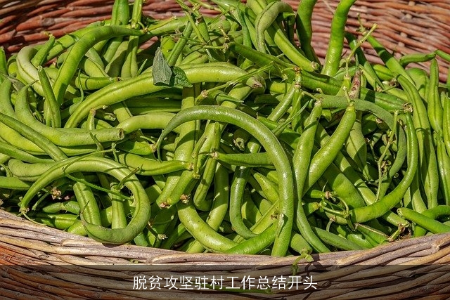 脱贫攻坚驻村工作总结开头