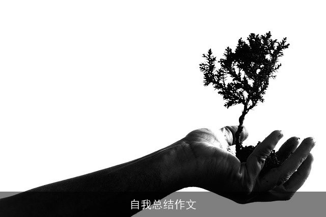 自我总结作文
