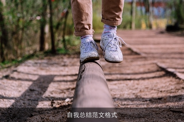 自我总结范文格式