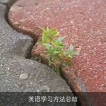 英语学习方法总结