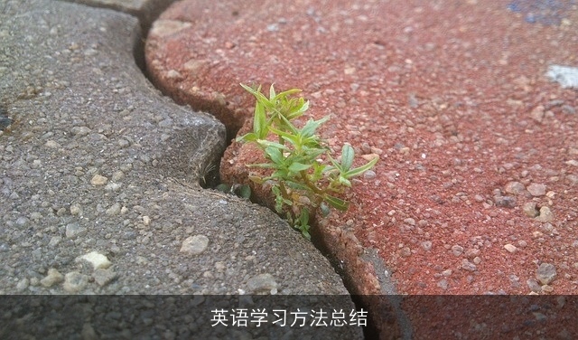 英语学习方法总结