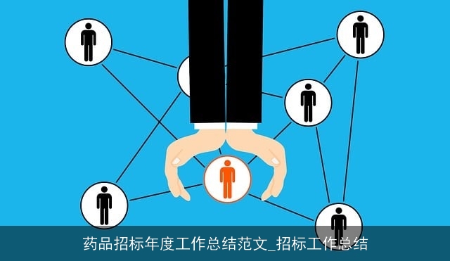 药品招标年度工作总结范文_招标工作总结