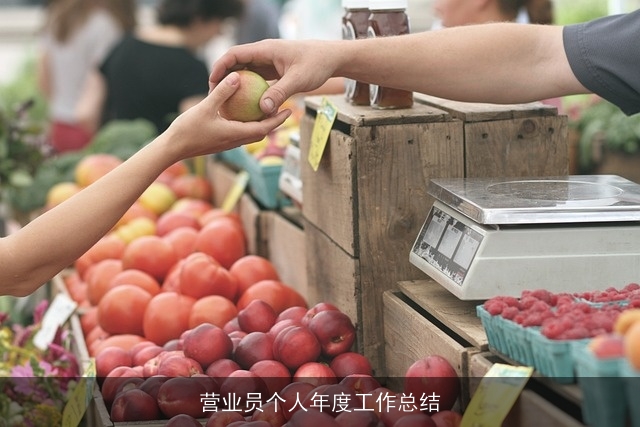 营业员个人年度工作总结