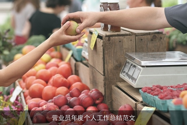 营业员年度个人工作总结范文
