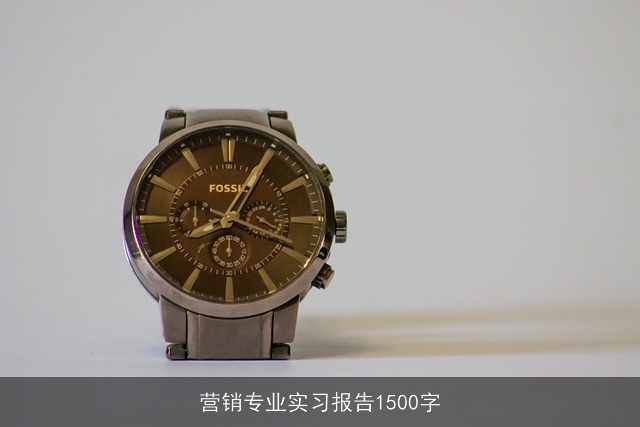 营销专业实习报告1500字