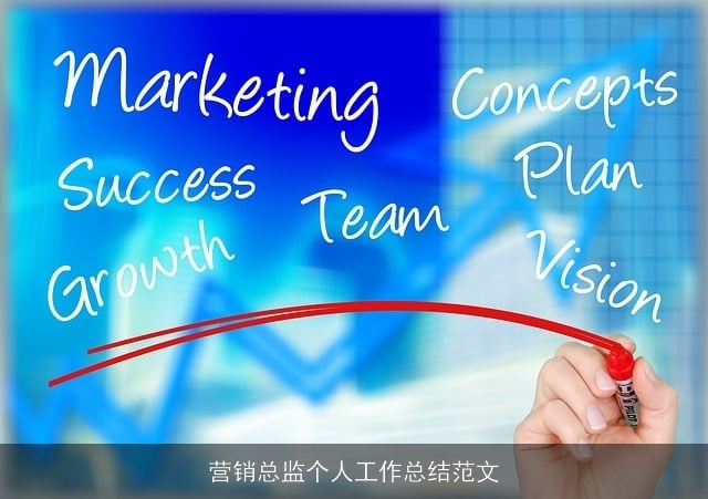 营销总监个人工作总结范文