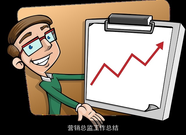 营销总监工作总结