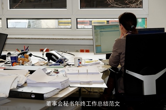 董事会秘书年终工作总结范文