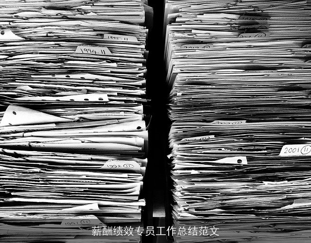 薪酬绩效专员工作总结范文