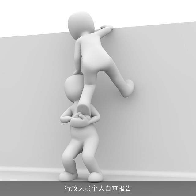 行政人员个人自查报告