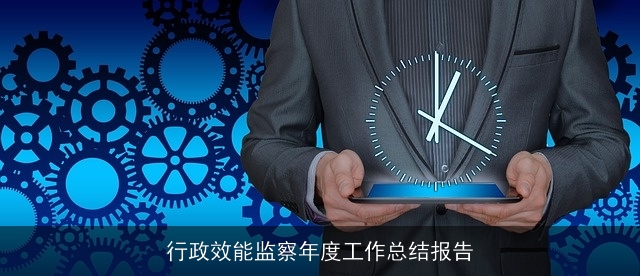 行政效能监察年度工作总结报告