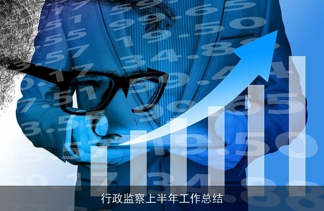 行政监察上半年工作总结