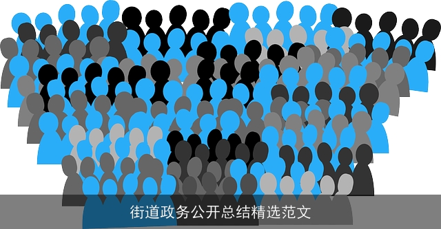 街道政务公开总结精选范文
