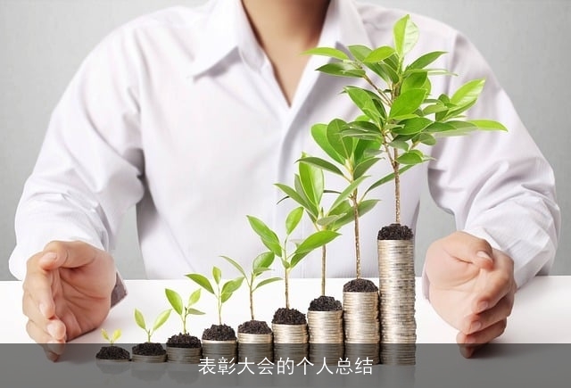 表彰大会的个人总结