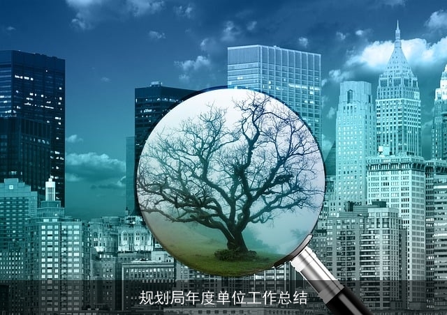 规划局年度单位工作总结