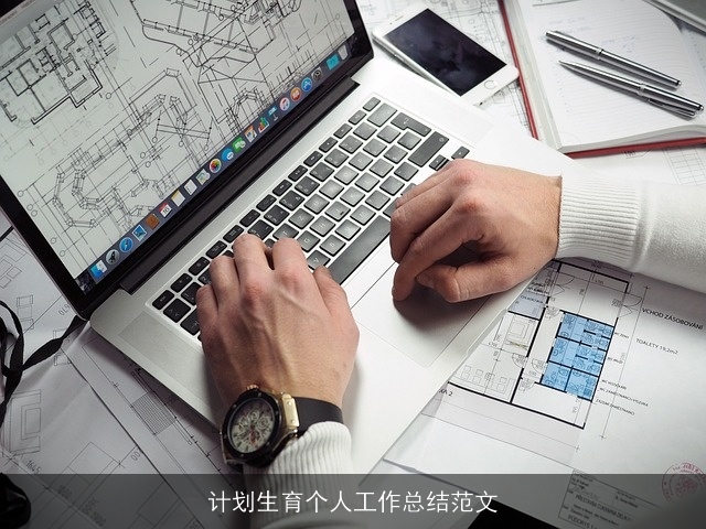 计划生育个人工作总结范文